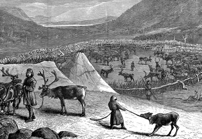 Stádo sobů, Laponsko, 1882 od Unbekannt