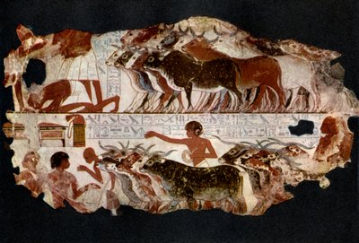 Stáda dobytka z doby 18. dynastie, Egypt, c1400 př.nl 1936 od Unbekannt