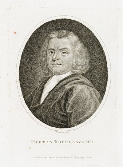 Herman Boerhaave , holandský lékař, chemik a botanik, počátek 18. století od Unbekannt