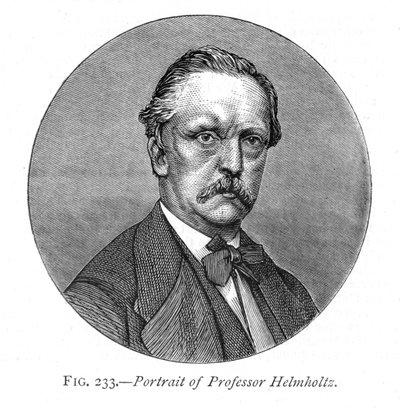 Hermann von Helmholtz 1821-1894, německý fyzik a fyziolog, 1876 od Unbekannt