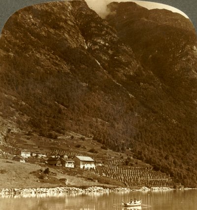 Farma Hogrending, hnízdící na horské základně, na východním břehu jezera Loen, Norsko, c1905. od Unbekannt