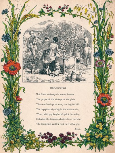 Hop-Picking, c1900 od Unbekannt