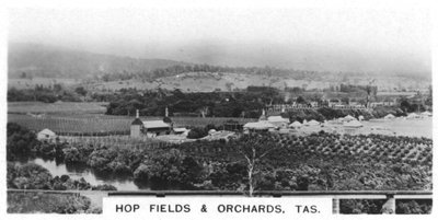 Chmelnice a sady, Tasmánie, Austrálie, 1928 od Unbekannt
