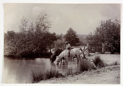 Koně pijící u rybníka, verze 1890 od Unbekannt