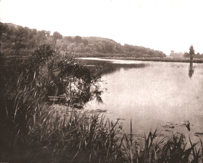 Hurley Reach, řeka Temže mezi Bisham a Medmenham, Buckinghamshire, 1894. od Unbekannt