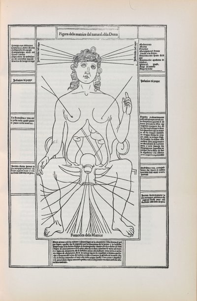 Ilustrace z Fasciculo di medicina od Johannese de Ketham, 1493. od Unbekannt