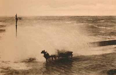 Ve vlně, c1928 od Unbekannt