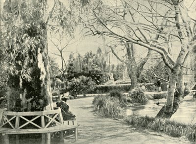 V botanické zahradě, Adelaide, 1901. od Unbekannt