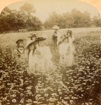 In the Daisy Field: Sweet Flowret of the Rural Glade, 1896. od Unbekannt
