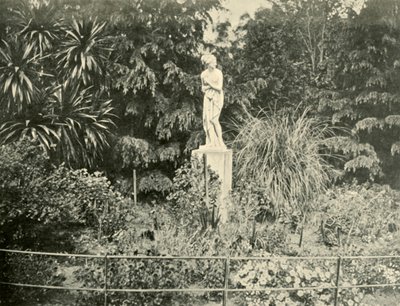 V zahradách Fitzroy, Melbourne, 1901. od Unbekannt