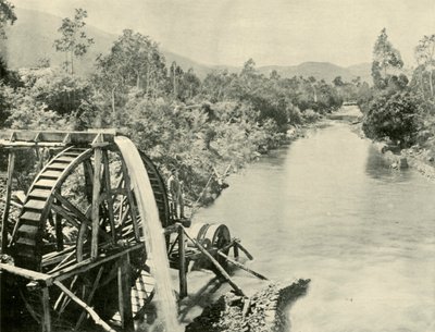 In the Ovens River, Germantown, 1901. od Unbekannt
