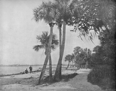 Indian River, Florida, c1897. od Unbekannt