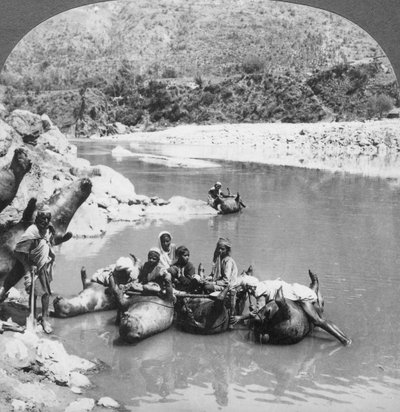 Nafouknuté býčí kůže používané jako trajektové čluny na řece Sutlej, Paňdžáb, Indie, 1900 od Unbekannt
