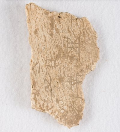 Vepsaný fragment kosti věštecká kost, pozdní dynastie Shang, ca. 1300-1050 př.nl. od Unbekannt