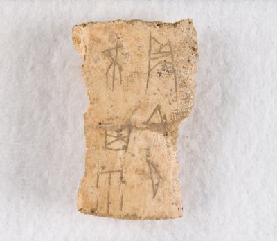 Vepsaný fragment kosti věštecká kost, pozdní dynastie Shang, ca. 1300-1050 př.nl. od Unbekannt