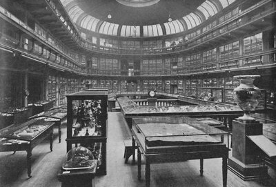 Interiér Geologického muzea, Jermyn Street, 1904 od Unbekannt