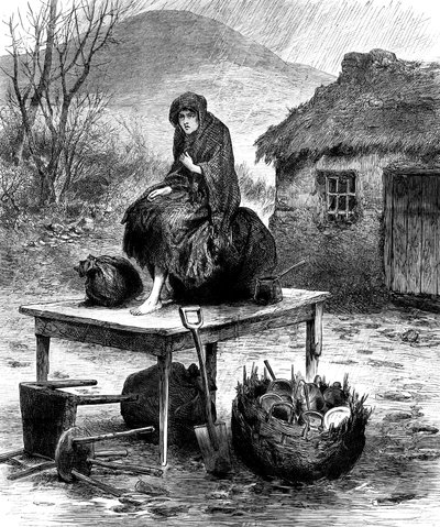 Irská rolnická dívka střežící poslední majetek rodiny, 1886 od Unbekannt