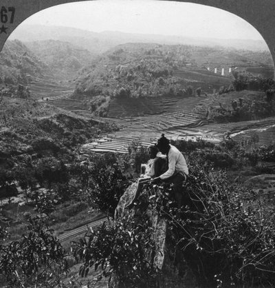 Jáva, indonéština, 1900 od Unbekannt