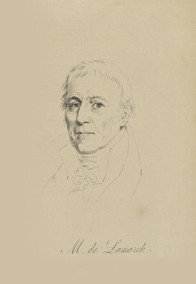 Jean-Baptiste Pierre Antoine de Monet, Chevalier de Lamarck 1744-1829, c. 1810. od Unbekannt