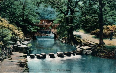 Jesmond Dene, Newcastle, c1905 od Unbekannt