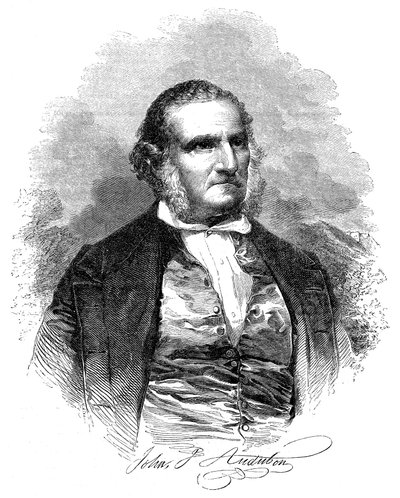 John James Audubon 1780-1851, americký ornitolog a umělec, 1852 od Unbekannt