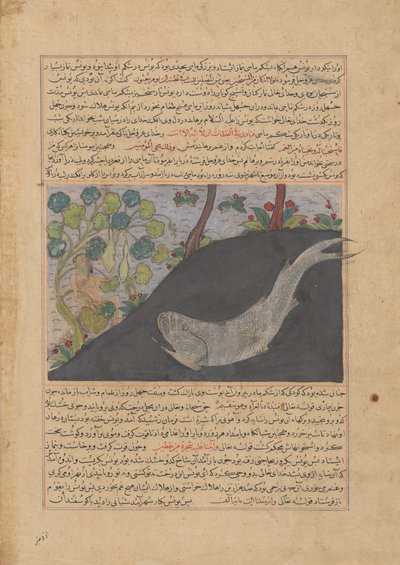 Jonah and the Whale, Folio z Majma