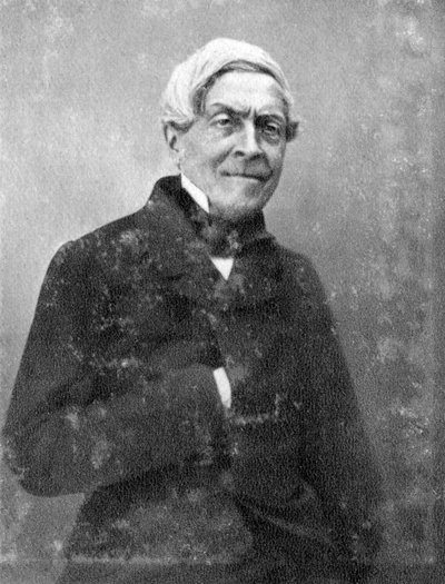 Jules Michelet, francouzský historik, c1860-1874 od Unbekannt