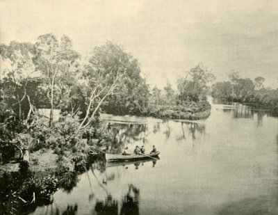 Junction of the Glengarry & Thompson Rivers, Victoria, 1901. od Unbekannt
