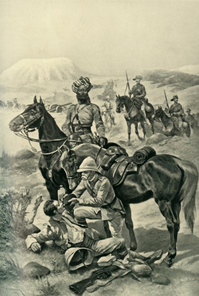 Stejně jako Bobs, 1901. od Unbekannt