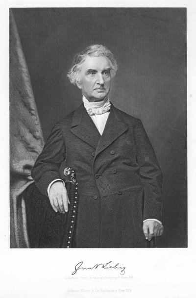 Justus von Liebig, německý chemik 19. století od Unbekannt