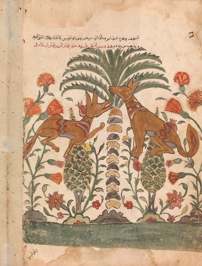 Kalila Upbraiding Dimna, Folio z Kalila wa Dimna, 18. století. od Unbekannt