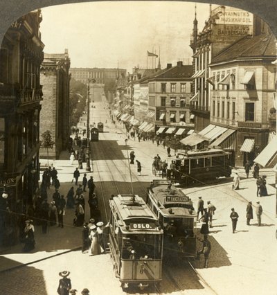 Ulice Karla Johana, W.N.W. do královského paláce, Christiania, Norsko, c1905. od Unbekannt