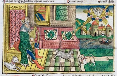 Král David hraje na lyru od Unbekannt