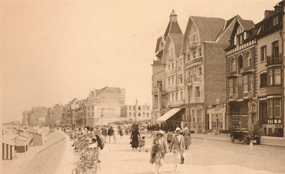 La Digue, Promenáda, c1900. od Unbekannt