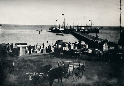 Místo přistání, Punta Arenas, 1911 od Unbekannt