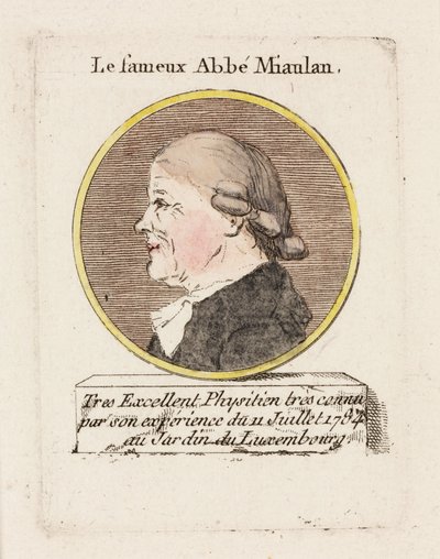 Slavný abbé Miaulan