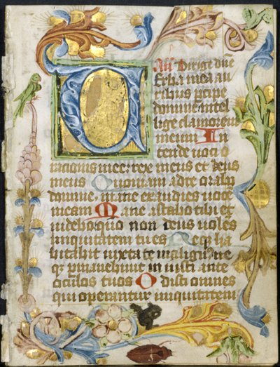 List z knihy hodin: Iniciála V s květinovým okrajem, c. 1460-1500. od Unbekannt