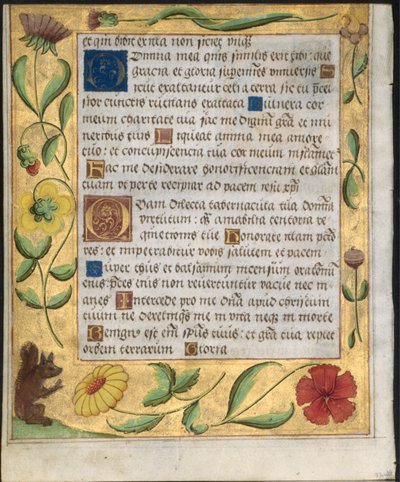 List ze žaltáře a modlitební knížky: Ornamentální hranice s květinami a veverkou, c. 1524. od Unbekannt