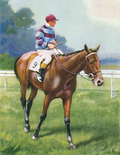 Legend of France, Žokej: A. Richardson, 1939 od Unbekannt