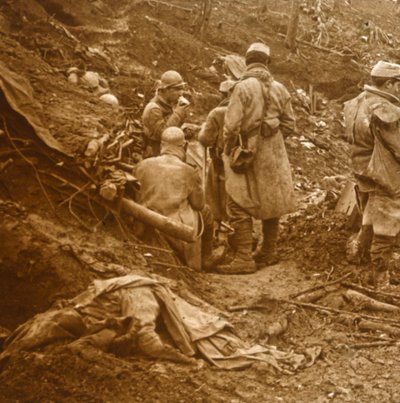 Les Éparges, severní Francie, 1915 od Unbekannt