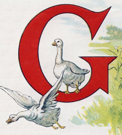 Písmeno G: Dobré kachny. Rytina v "ABC L