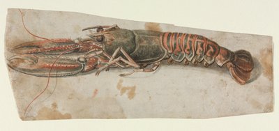 Humr, 1600s. od Unbekannt