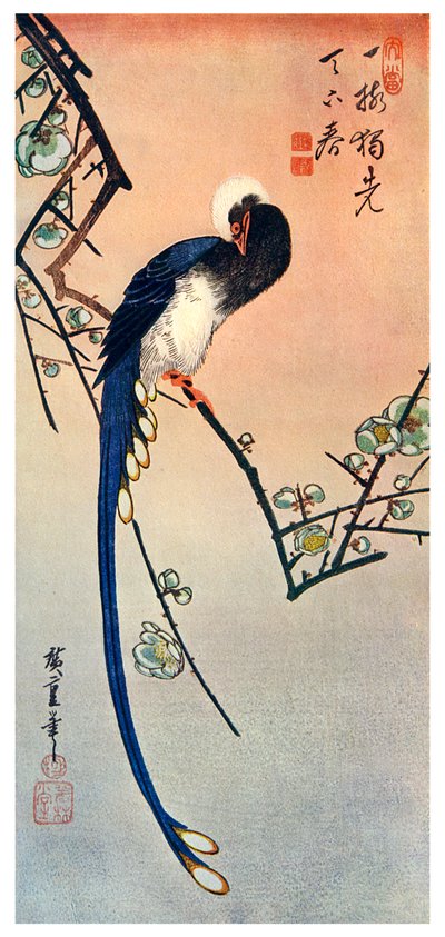 Dlouhoocasý modrý pták na větvi Plum Tree in Blossom, 19. století 1925 od Unbekannt