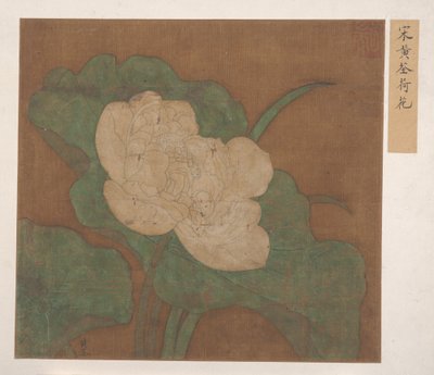 Lotus. od Unbekannt