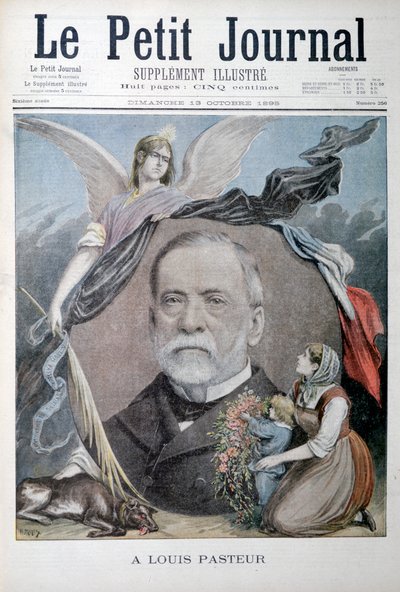 Louis Pasteur, francouzský chemik, 1895 od Unbekannt