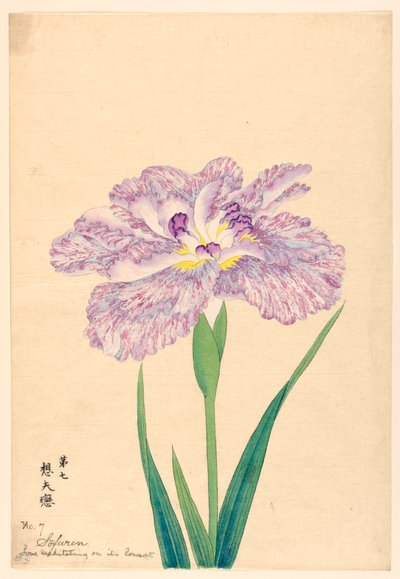 Love Meditating on Consort (Sofuren), No. 7, ca. 1910 od Unbekannt
