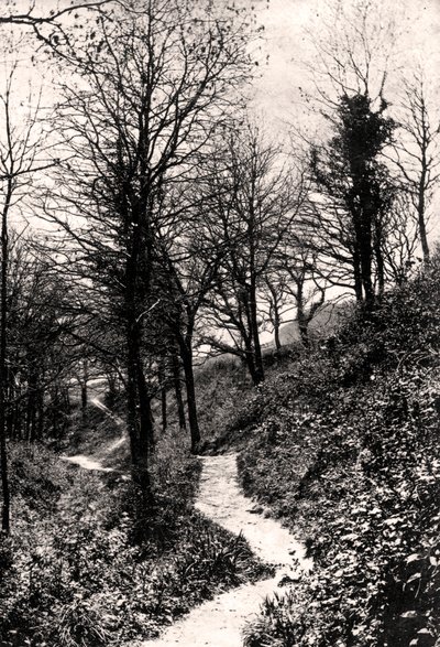 Lovers Lane, Fairlight, Hastings, Sussex od Unbekannt