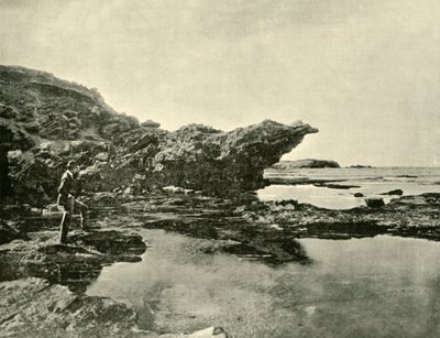 Odliv, Shelly Beach, Warrnambool, 1901. od Unbekannt