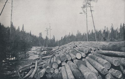 Dřevorubectví, 1924 od Unbekannt