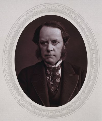 Lyon Playfair, Baron St Andrews, skotský chemik a politik, c 1870 od Unbekannt